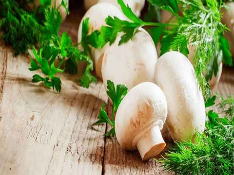 تصویر 3 از قیمت خرید قارچ بسته بندی بزرگ + فروش ویژه